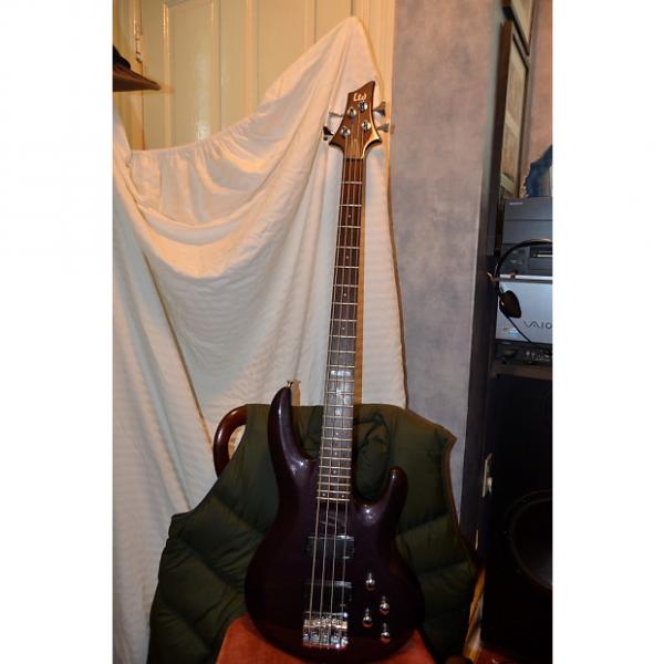 Custom ESP LTD b-104 bass guitar Plum color #1 image