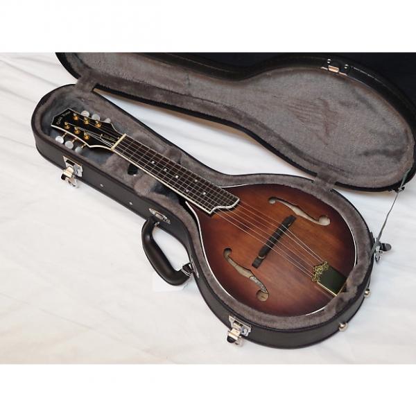 Custom GOLD TONE GM-6+ 6-string electric guitar MANDOLIN new w/ HARD CASE #1 image