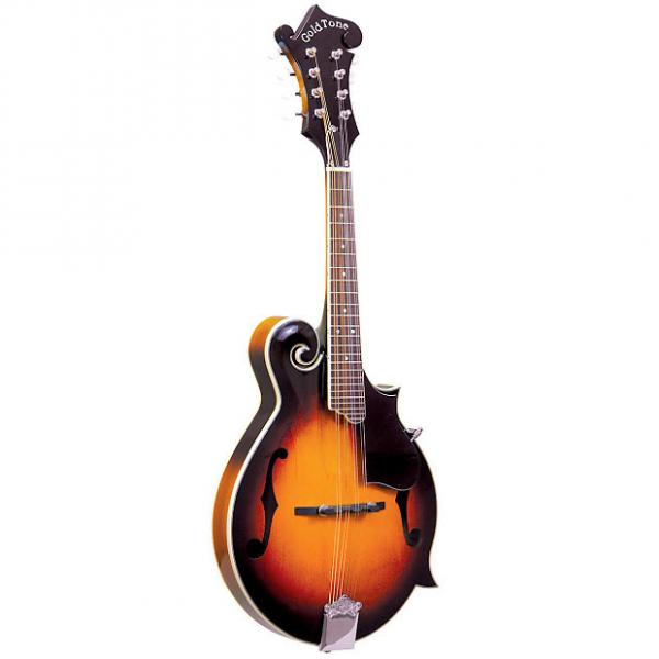 Custom Gold Tone GM-35E F-Style Acoustic-Electric Mandolin #1 image