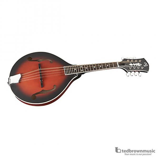 Custom Michael Kelly A-Style Solid Mandolin (Used) with Hard Case and Brand New Capo #1 image