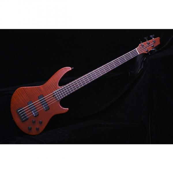 Custom Godin BG5  5 String Bass #1 image