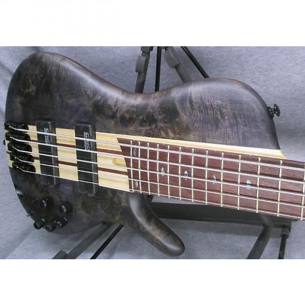 Custom Ibanez SRSC805 5 String Bass #1 image