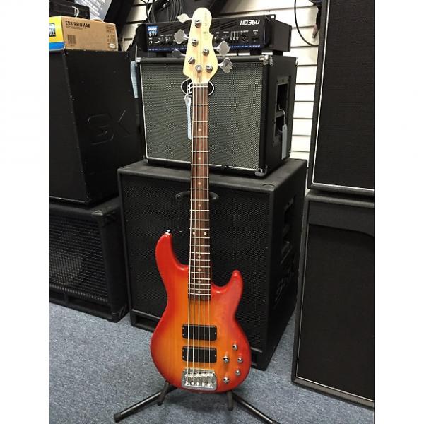 Custom G&amp;L M2500 Tribute Series 5 String electric bass Honeyburst over Ash  Brand New! #1 image