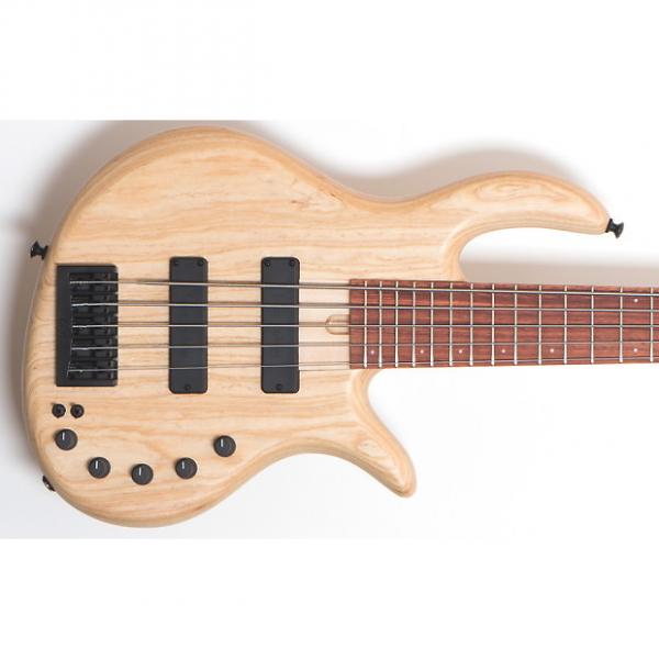 Custom Elrick Expat e-Volution 5-string bass. Swamp Ash, Natural. #1 image