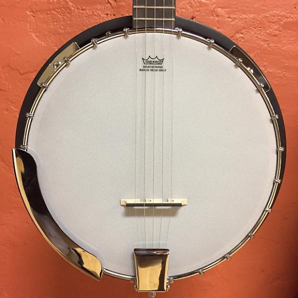 Custom Savannah SB-100 5-String Resonator Banjo #1 image