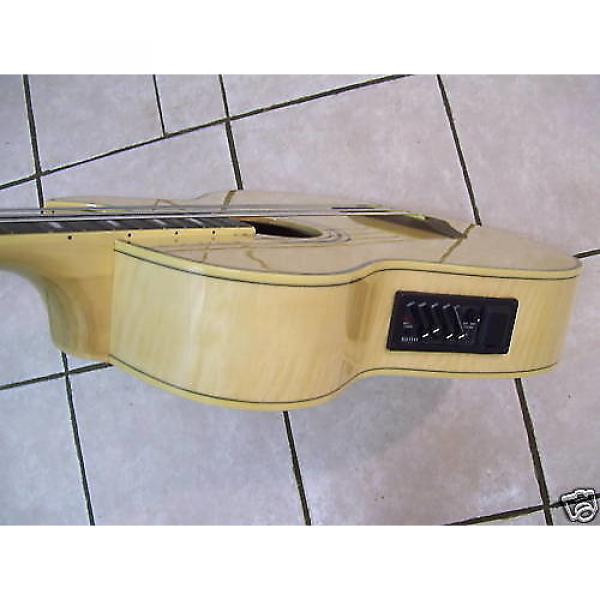 Custom Bass guitar, acoustic electric,  Wood #1 image