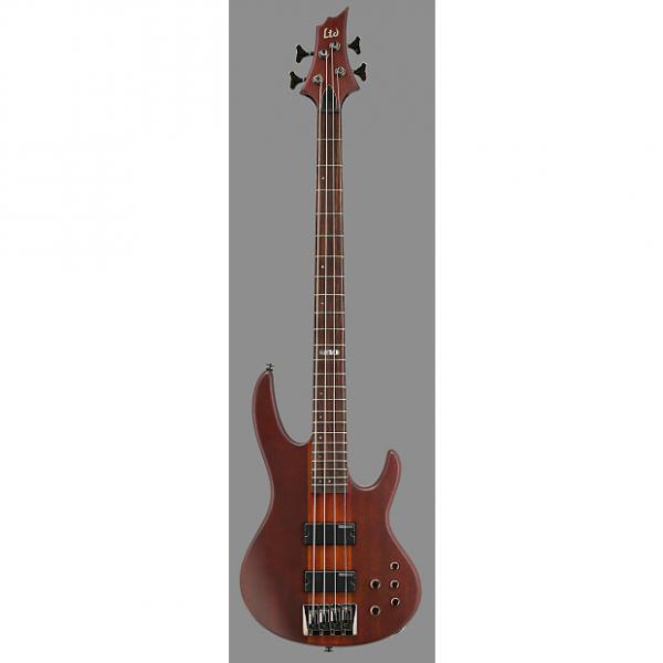 Custom LTD LD4NS Electric 4-String Bass w/ Natual Satin Finish w/ Soft Bass Case #1 image