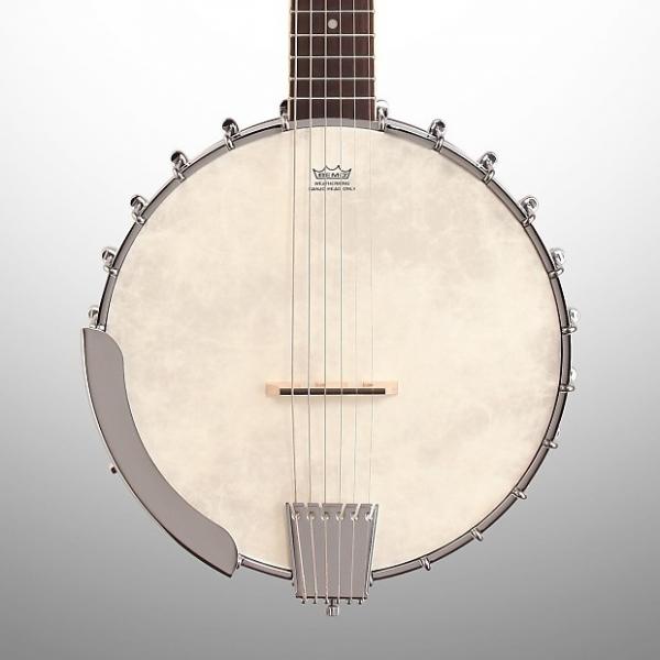 Custom Washburn B6 Banjo, 6-String #1 image