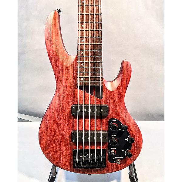 Custom ESP LTD B-1005SE 5-String Electric Bass #1 image