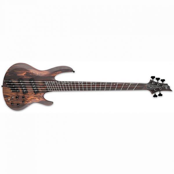 Custom ESP LTD B-1005SE Multi-Scale 5-String Swamp Ash Body Electric Bass Natural Satin #1 image