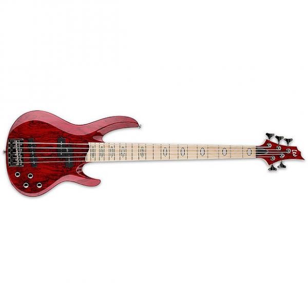 Custom ESP LTD RB-1005SM STR 5-String RB-Series Spalted Maple Top Bass Guitar - See Thru Red Finish (LRB1005SMSTR) #1 image