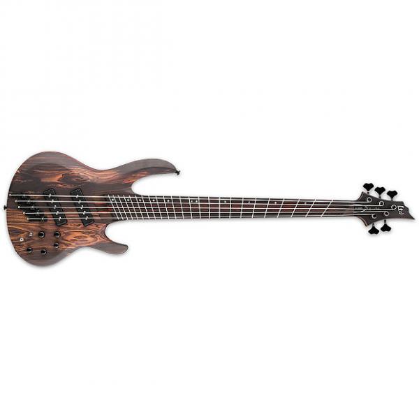 Custom ESP LTD B-1005SEMR NS 5-String B-Series Multi-Scale Solid Rosewood Top Bass Guitar - Natural Satin Finish (LB1005SEMSRNS) #1 image