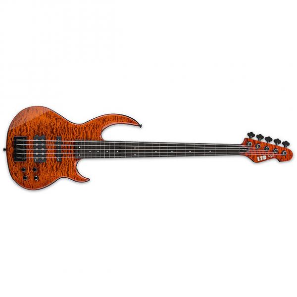 Custom ESP LTD BB-FLBQM BOR 5-String Bunny Brunel Signature Fretless Bass Guitar - Burnt Orange Finish (LBB1005FLQMBOR) #1 image