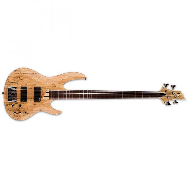 Custom ESP LTD B-204 Fretless B Series Bass Guitar 4-string Natural Satin Spalted B204 #1 image
