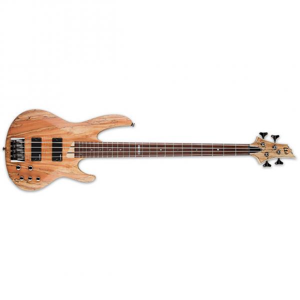 Custom ESP LTD B-204 B Series Bass Guitar 4-string Natural Satin Burled Maple Top B204 #1 image