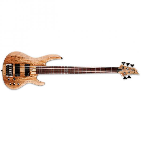 Custom ESP LTD B-205 B Series Bass Guitar 5-string Natural Satin Spalted Maple Top B205 #1 image