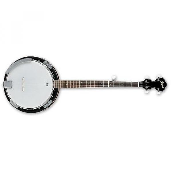 Custom Ibanez B50 5-String Banjo #1 image