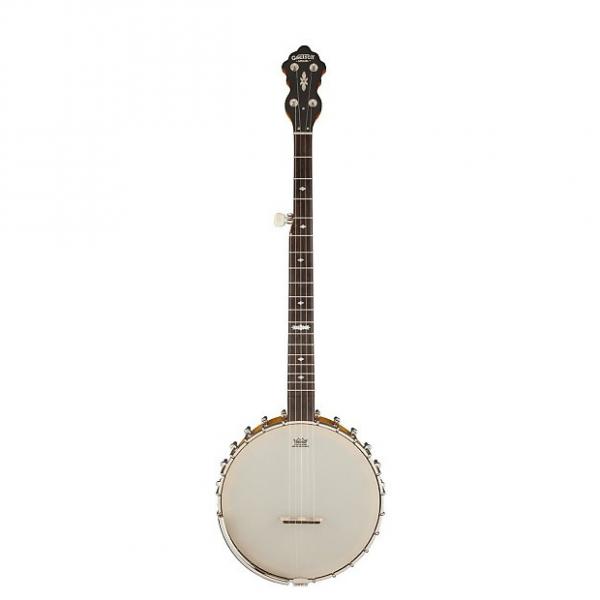 Custom Gretsch Guitars Dixie Special Amber Roots Collection 5-String Open-Back Banjo #1 image