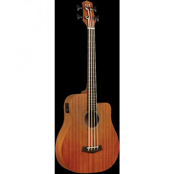 Custom GOLD TONE MicroBass M-Bass 25&quot; scale FRETLESS 4-string A/E BASS guitar w/GIG BAG #1 image