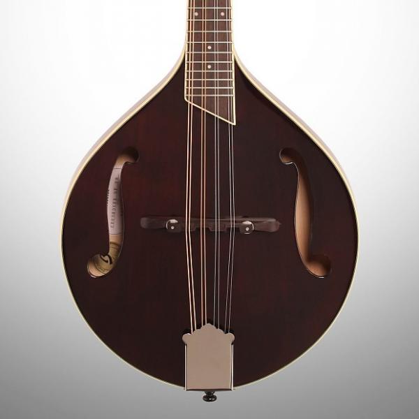 Custom Breedlove Crossover OF F-Hole Mandolin (with Gig Bag), Violin Stain #1 image