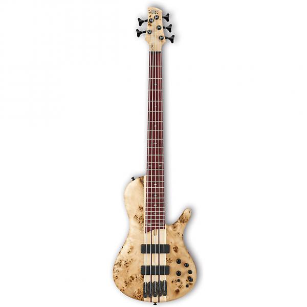 Custom Ibanez SRSC805 Natural Flat 5-string Electric Bass #1 image