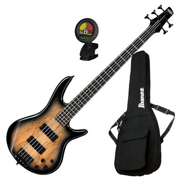 Custom Ibanez GSR205SM 5-String Electric Bass Guitar Bundle #1 image
