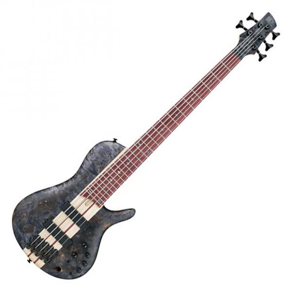 Custom Ibanez SRSC805 Cerro Single Cutaway 5-String Bass Guitar #1 image