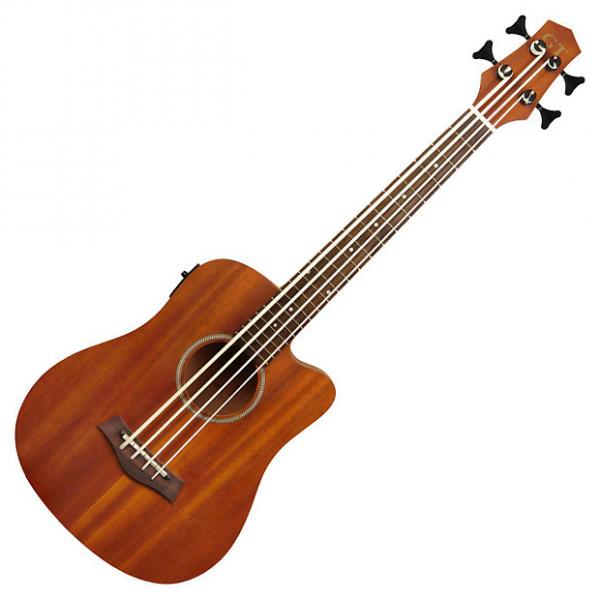Custom Gold Tone M Bass Microbass Short-Scaled A/E Bass #1 image
