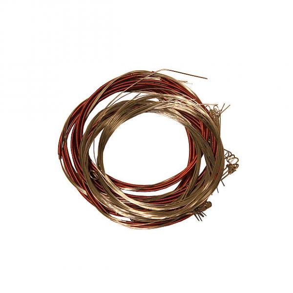 Custom banjira Swarmandal 35 String Set Loop End SWAS #1 image