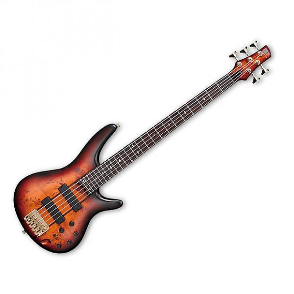 Custom Ibanez SR805AWT 5-string Bass - Aged Whiskey Burst - SR805AWT - 887802058138 #1 image