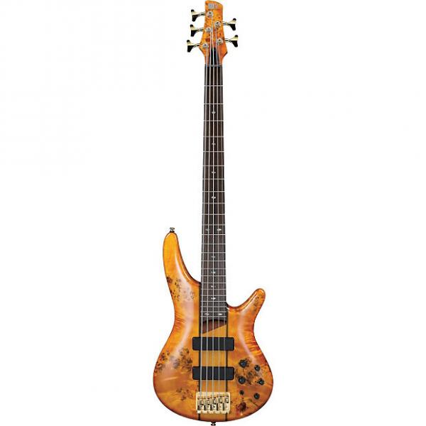 Custom Ibanez SR805 5 string Bass - Amber - SR805AM - 606559801695 #1 image