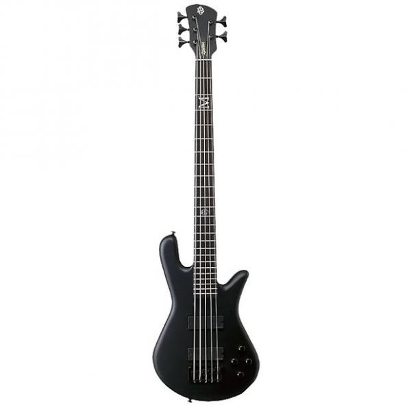 Custom Spector Mike Kroeger Legend 5 Custom Bass Guitar (5 String, Slate Grey) #1 image