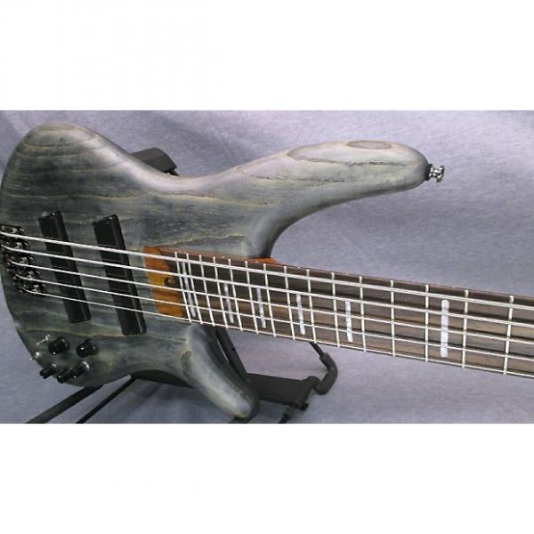 Custom Ibanez SRFF805 5 String Bass #1 image