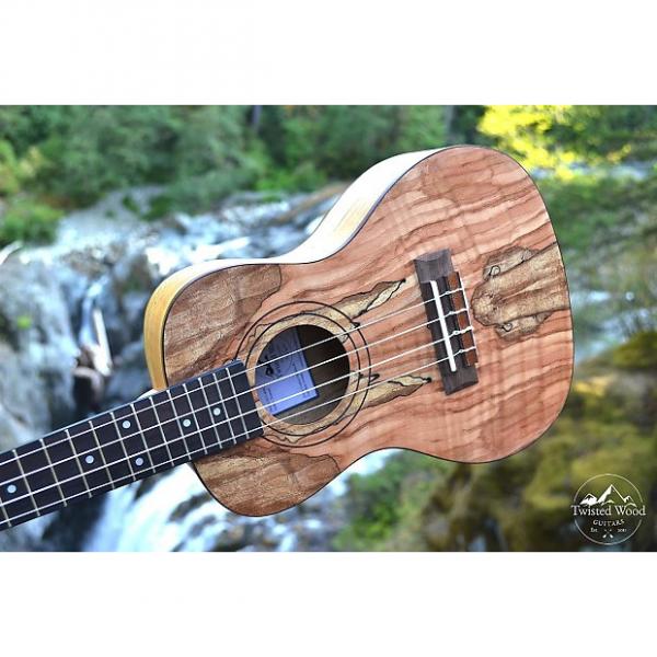 Custom Nomad Concert Ukulele by Twisted Wood Guitars #1 image