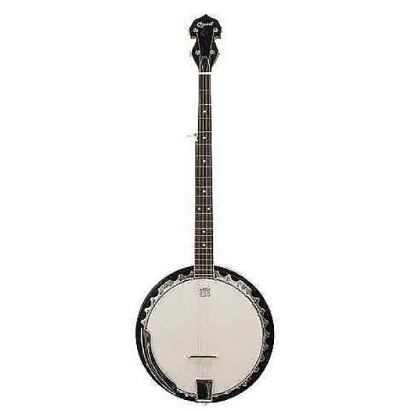 Custom Ozark 2104G Five-string Banjo #1 image