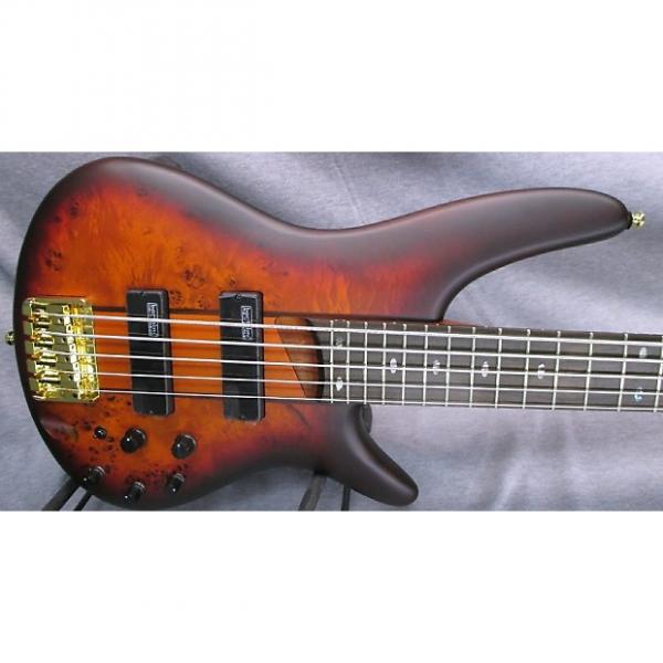Custom Ibanez SR805 5 String Bass #1 image