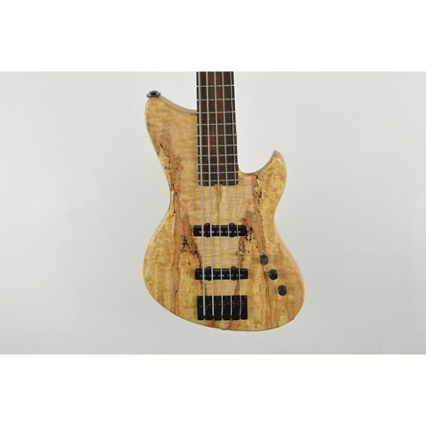Custom Alpher Instruments Mako-Elite 5 string boutique handmade UK bass 2015 Spalted Maple #1 image