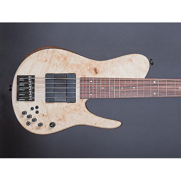 Custom Fodera Matt Garrison Standard 5 String Bass | Fodera guitars #1 image