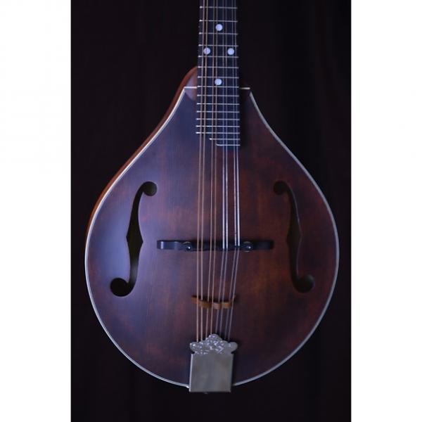 Custom Eastman MD305 A Mandolin #1 image