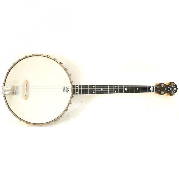 Custom 1925 Vega Tu-Ba-Phone Style M 4-String Tenor Banjo with Original Case #1 image