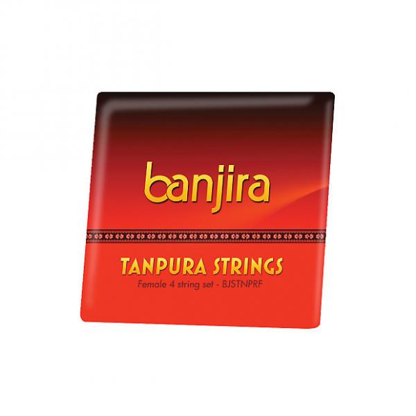 Custom banjira Tanpura Female 4 String Set Loop End #1 image