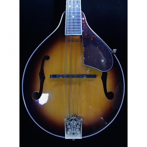 Custom Fender FM-53S Acoustic Mandolin - in Sunburst - Warranty/Authorized Fender Dealer #1 image