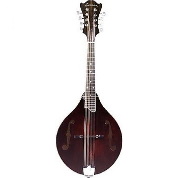 Custom Eastman Md505 A Style Mandolin #1 image
