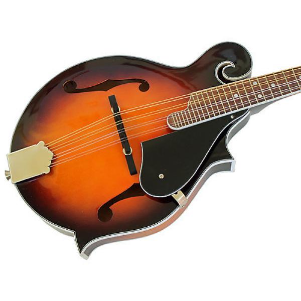 Custom Savannah  SF-100 Mandolin with Case in Sunburst #1 image