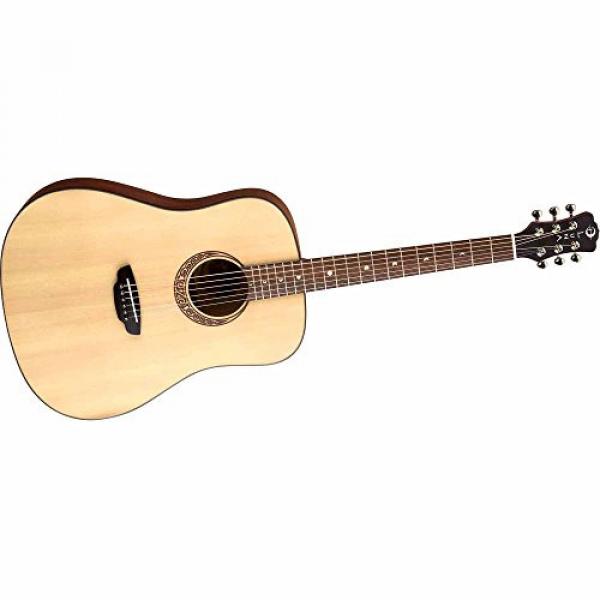 Luna Gypsy Muse Acoustic Guitar, with Hardshell Case #1 image