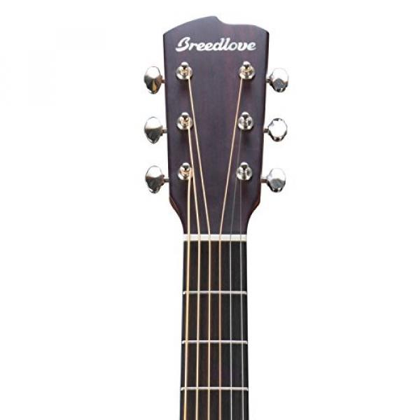 Breedlove DISCOVERY-DR Discovery Dreadnought Acoustic Guitar with Strap, Stand, Picks, Tuner, Cloth and Bag #4 image