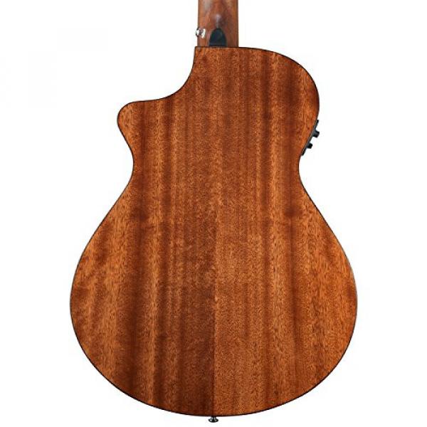 Breedlove PURSUIT-NY Pursuit Nylon Acoustic-Electric Guitar with Strap, Stand, Picks, Tuner, Cloth and Gig Bag #3 image