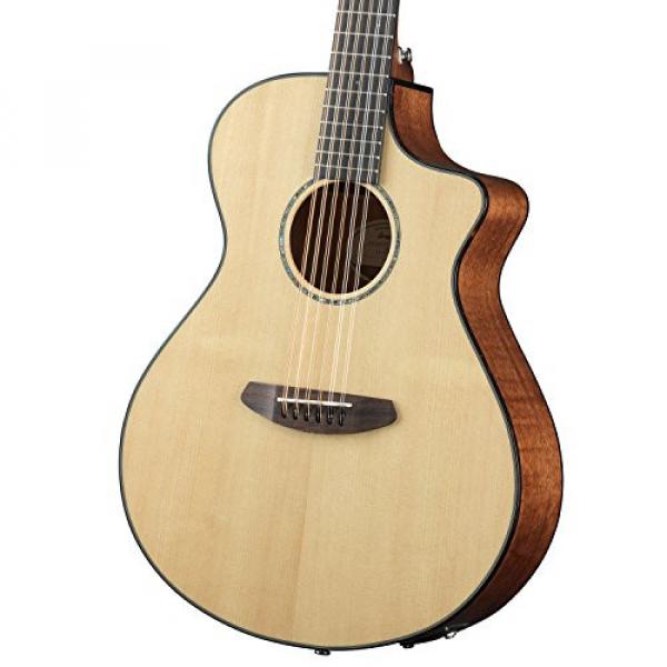Breedlove PURSUIT-12 Pursuit 12 String Acoustic-Electric Guitar with Strap, Stand, Picks, Tuner, Cloth and Gig Bag #6 image