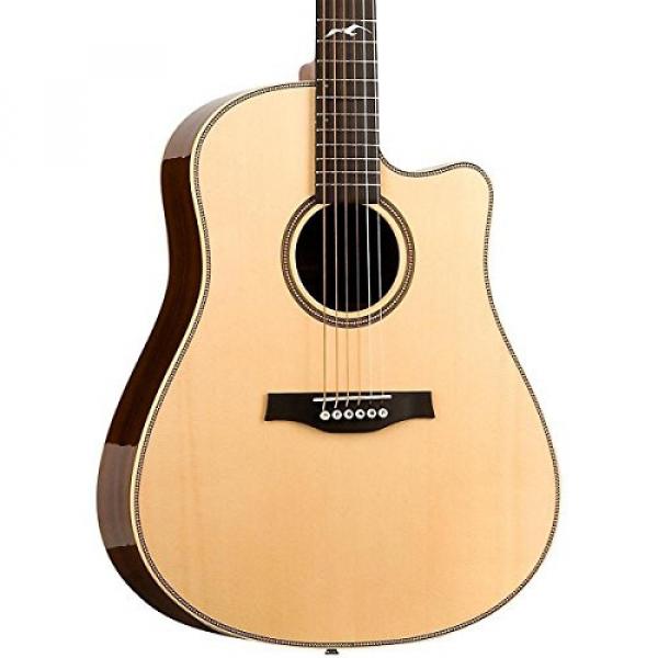 Seagull Artist Peppino CW QII Acoustic Electric Guitar #1 image