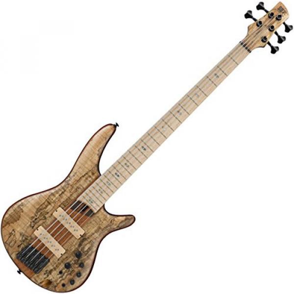 Ibanez SR5SMLTD 5-String Electric Bass Guitar Flat Natural #1 image